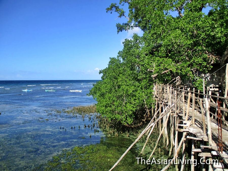 Siquijor Tourist Spots and Things to Do