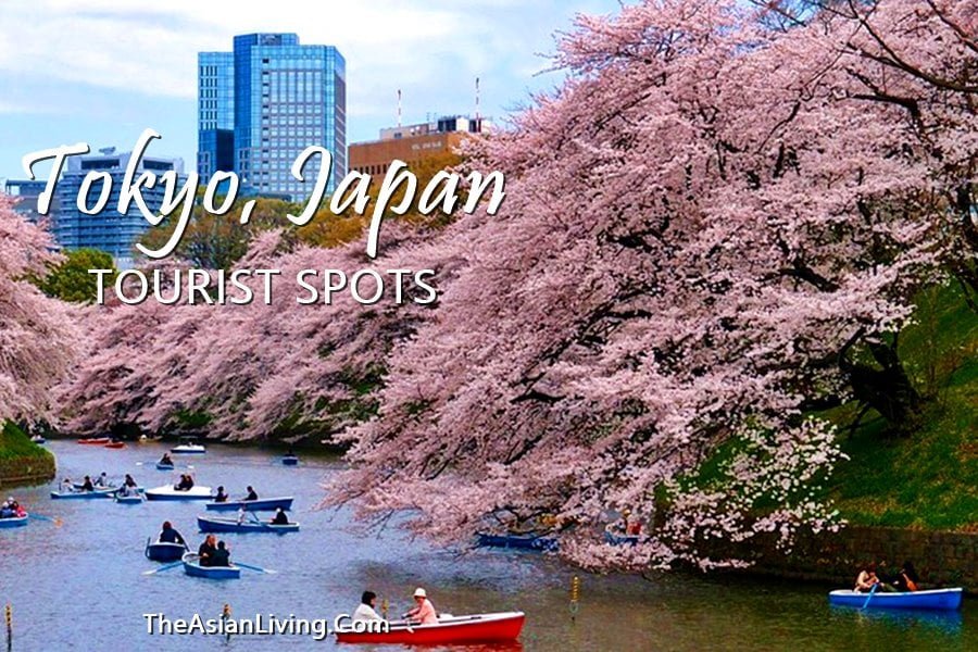 THINGS TO DO IN TOKYO | TOURIST SPOTS