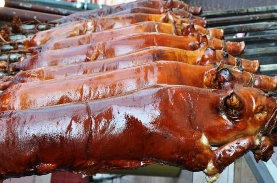 Lechon: A Journey Through the Heart of Filipino Celebrations