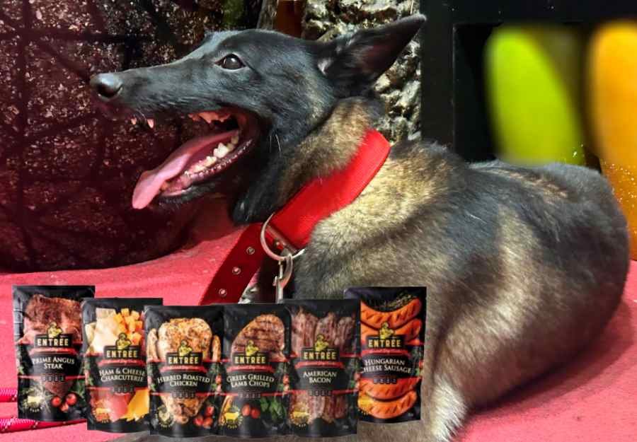 Entrée Gourmet Dog Treats | Falcor Marketing Corporation